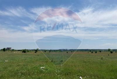 Teren Construcții intravilan de 973 mp, în Băneasa