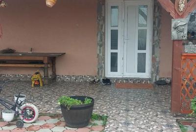 Casă în Topolovățu Mare - 1