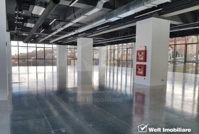 Birouri moderne in cladire clasa A, in Gruia - Taietura Turcului
