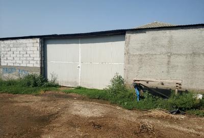 Ferma cu hale 3000 mp si teren 12000 mp, 30 km de Constanta - 12