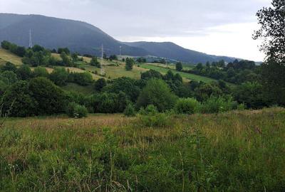 Teren de 1000 mp, în Viișoara - 5