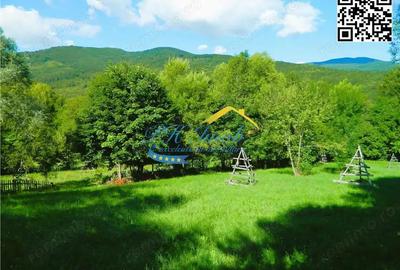 Teren intravilan de vanzare, Valea Doftanei Prahova - 7