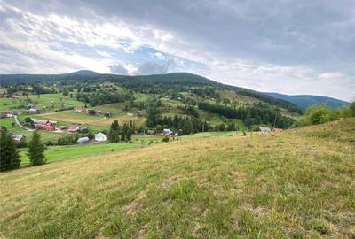 RECO Teren intravilan in Arieseni - 2