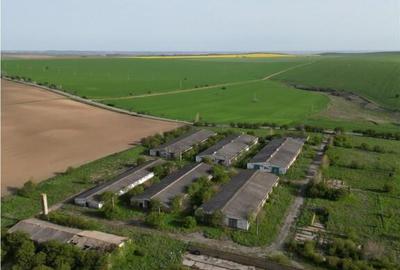 Ferma de in localitatea Bestepe Ferma de in localitatea Bestepe - 2