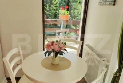 Garsonieră semidecomandată, mobilată în Central - 10