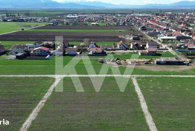 Spațiu comercial, în Hălchiu - 2