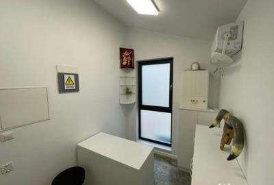 Spațiu comercial, de 66 mp, în Brazda lui Novac - 13