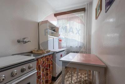 Apartament cu 3 camere de inchiriat in zona Take Ionescu - 6