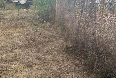 Casă cu Teren 2642 Mp în Spahii - 3