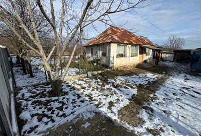 Vand teren 8000 mp + 2 case batranesti + anexe - 5