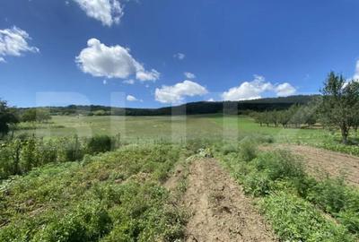 Teren de 19213 mp, în Central - 5