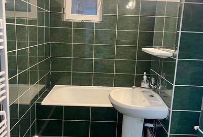 Apartament cu 2 camere semidecomandat în Craiovița Nouă - 4