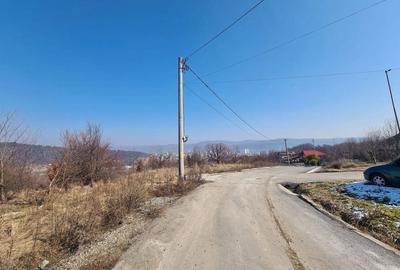 Teren de 9100 mp, în Petrișor - 2