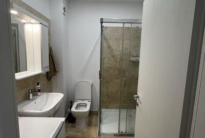 Garsonieră semidecomandată în Timișoara - 6