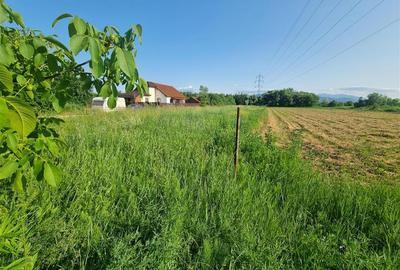 Teren intravilan cu utilitati Stupini Brasov - 1
