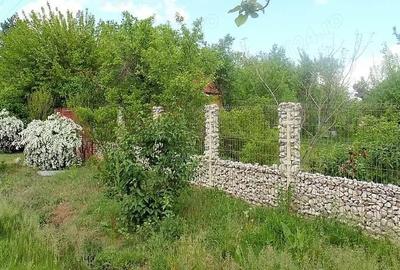 Casă cu 3 camere cu Teren 6100 Mp în Constantinești - 1