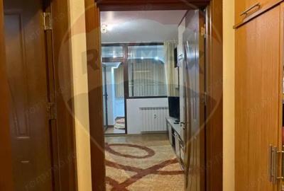 Apartament cu 1 camera de inchiriat in zona Brazda lui Novac - 8