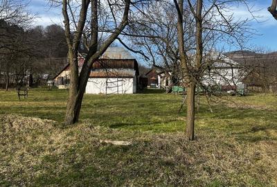 Casă cu 3 camere în Vișeu de Jos - 4