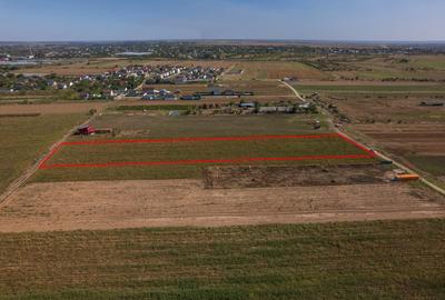 Teren Construcții intravilan de 6525 mp, în Adunații-Copăceni - 8