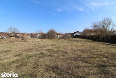 Casă cu 2 camere cu Teren 2261 Mp în Central - 15