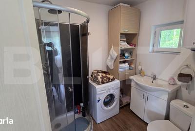 Casă cu 3 camere cu Teren 4300 Mp în Meteș - 17
