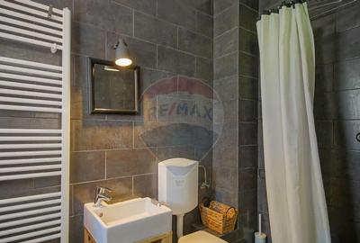 Spațiu comercial, de 645 mp, în Cheile Râșnoavei - 8