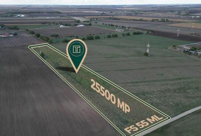 Teren intravilan cu po?en?ial de 25500 mp in Pecica - 1