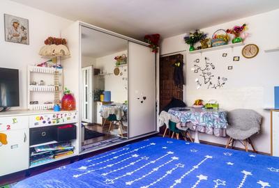 Casa de vanzare in Dambul Rotund-Corneliu Coposu, teren 450 mp, comision 0! - 12