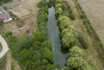 Teren de 7900 mp cu balta de pescuit in Frumu?eni - 4