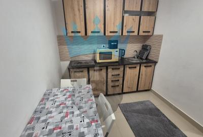 Garsoniera in Vila Fundeni - 2