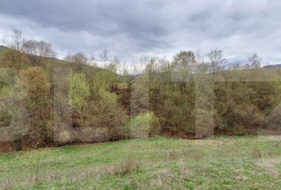 Oportunitate!!!! TEREN EXTRAVILAN CU SUPRAFATA DE 12500 MP - 2