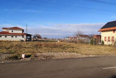 Teren Construcții intravilan de 784 mp, în Dudeștii Noi