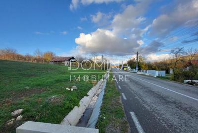 Teren 11.939 mp Balane?ti ideal reziden?ial/comercia - 1