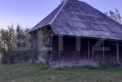 Casa la munte, cu teren 13383 mp, zona Horea - Apuseni - 5