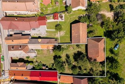 FILM!Doua case traditionale,pe domeniu cu peste 5.000mp tere - 16