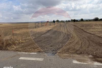 Spațiu comercial, în Ișalnița - 2