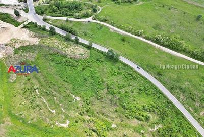 AZURA Imobiliare - Teren Topoloveni Bamesa Autostrada - 2