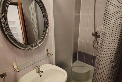 Apartament cu 2 camere semidecomandat în Între Lacuri - 6