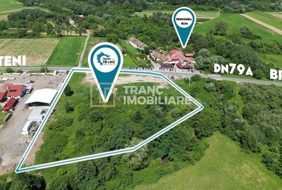 Teren agricol intravilan de 9142 mp, în Buteni - 3