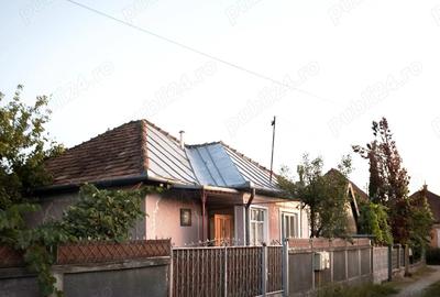 Casă cu 3 camere cu Teren 530 Mp în Central - 4