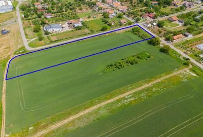 Teren agricol intravilan de 6400 mp, în Miniș - 5