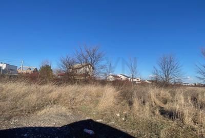 Teren agricol intravilan de 20000 mp, în Central - 5