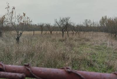 Casă cu 6 camere în Drăghicești - 7