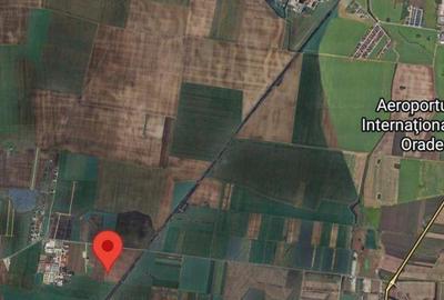 Teren de 8632 mp, în Cociuba Mare - 2