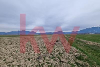 Teren extravilan intrare Tohanul Nou