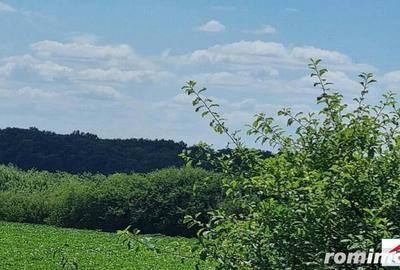 Teren extravilan 3,56 hectare in Dorolt ( ID 22873) - 1