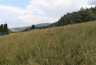 Teren intravilan cu PUZ si PUD 2 loturi - 3