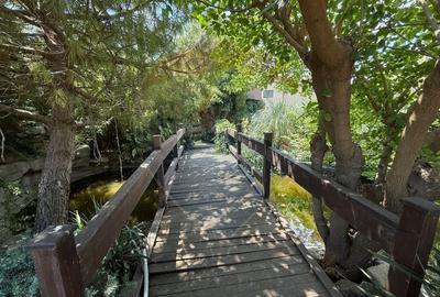 Casa de vanzare in Mamaia Sat Constanta - 11