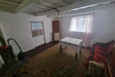 Casă cu 4 camere cu Teren 3393 Mp în Aghireșu - 2