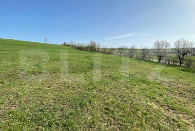 Casa  cu 10000mp de teren in Buza, la 50 km de Cluj-Napoca - 9